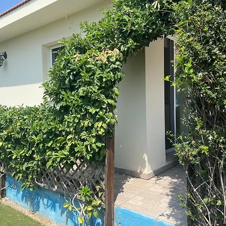 Christo * Psematismenos