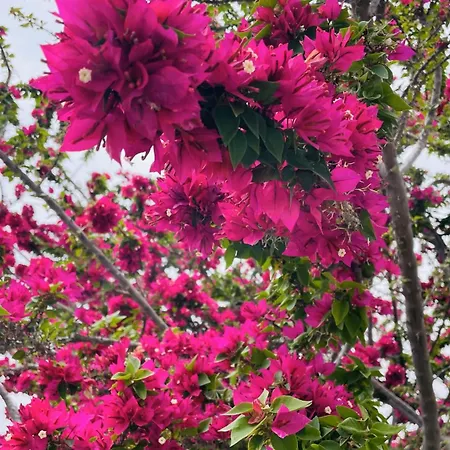 Villa Christo Psematismenos